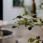 Casa Del Cardenal Διαμέρισμα *