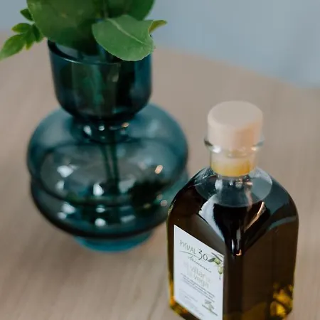 Casa Del Cardenal * 科爾多瓦