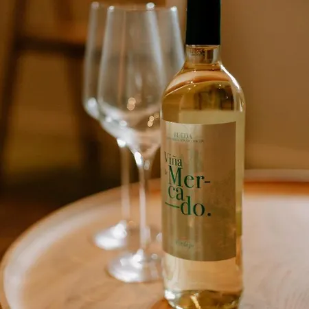 Casa Del Cardenal * 科爾多瓦