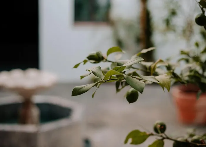 Casa Del Cardenal 公寓 *